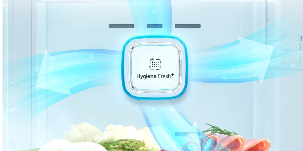 فیلتر بهداشتی Hygiene FRESH+